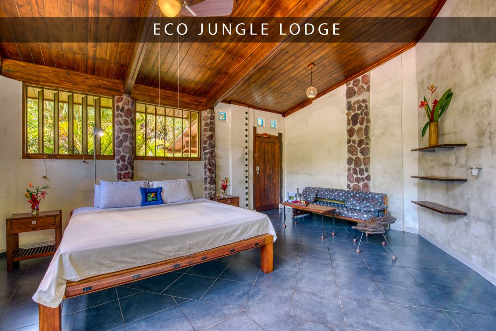 beautiful accommodation in omega eco jungle lodge