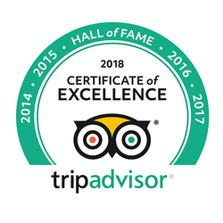 certificate of excellence awards trip advisor